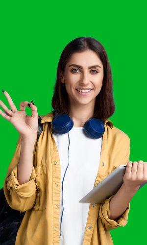 Técnico en montaje de parques eólicos