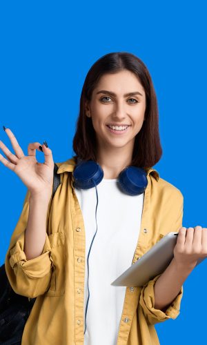 Desarrollador de servicios web y APIs