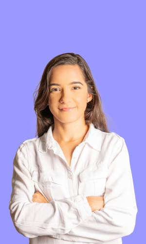 Analista y diseñador de software