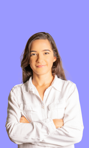 Analista y diseñador de software